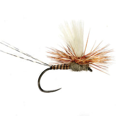 Lexi's Tactical Get 'Er Dun May