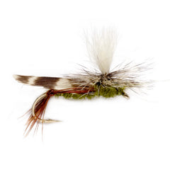 Schroeder's Parachute Hopper