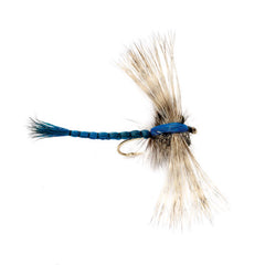 Gibson's Dragonfly