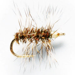 Griffith's Gnat