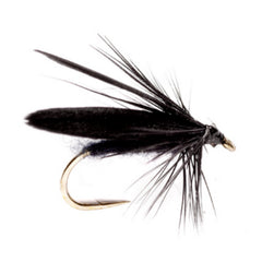 Slow Water Caddis