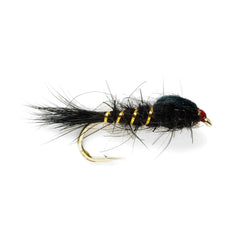 BLACK,10