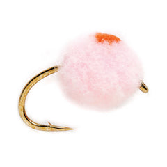 Egg Fly