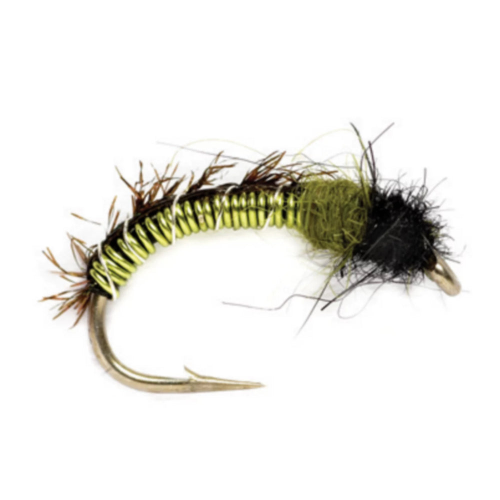 Shaggy Wire Caddis