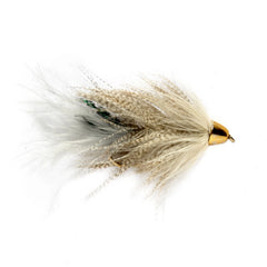 Moto's Minnow