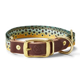 Whiskey Leatherworks Adjustable Collar