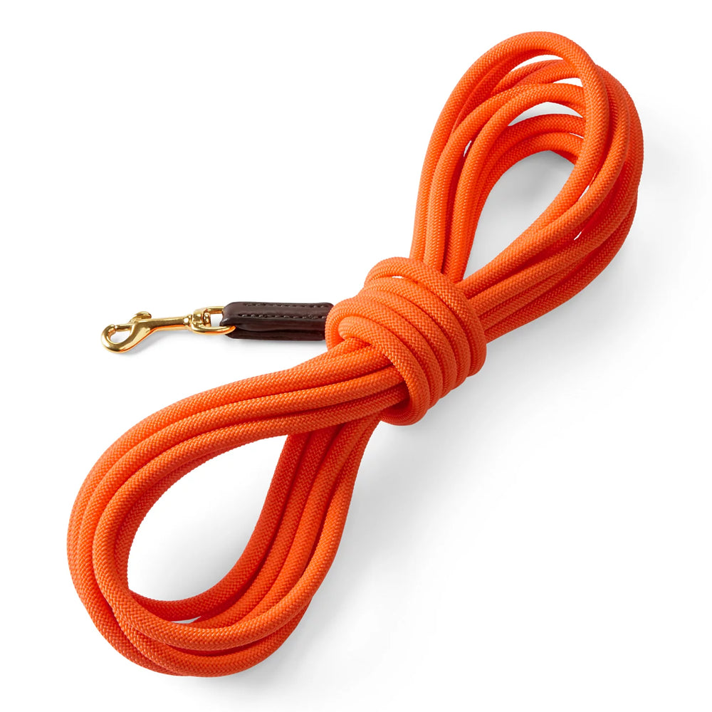 Check Cord