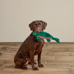 Animal Squeaky Toys