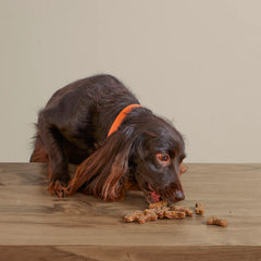 Polkadog Green Monstah Bones