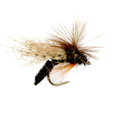 BLACK,14