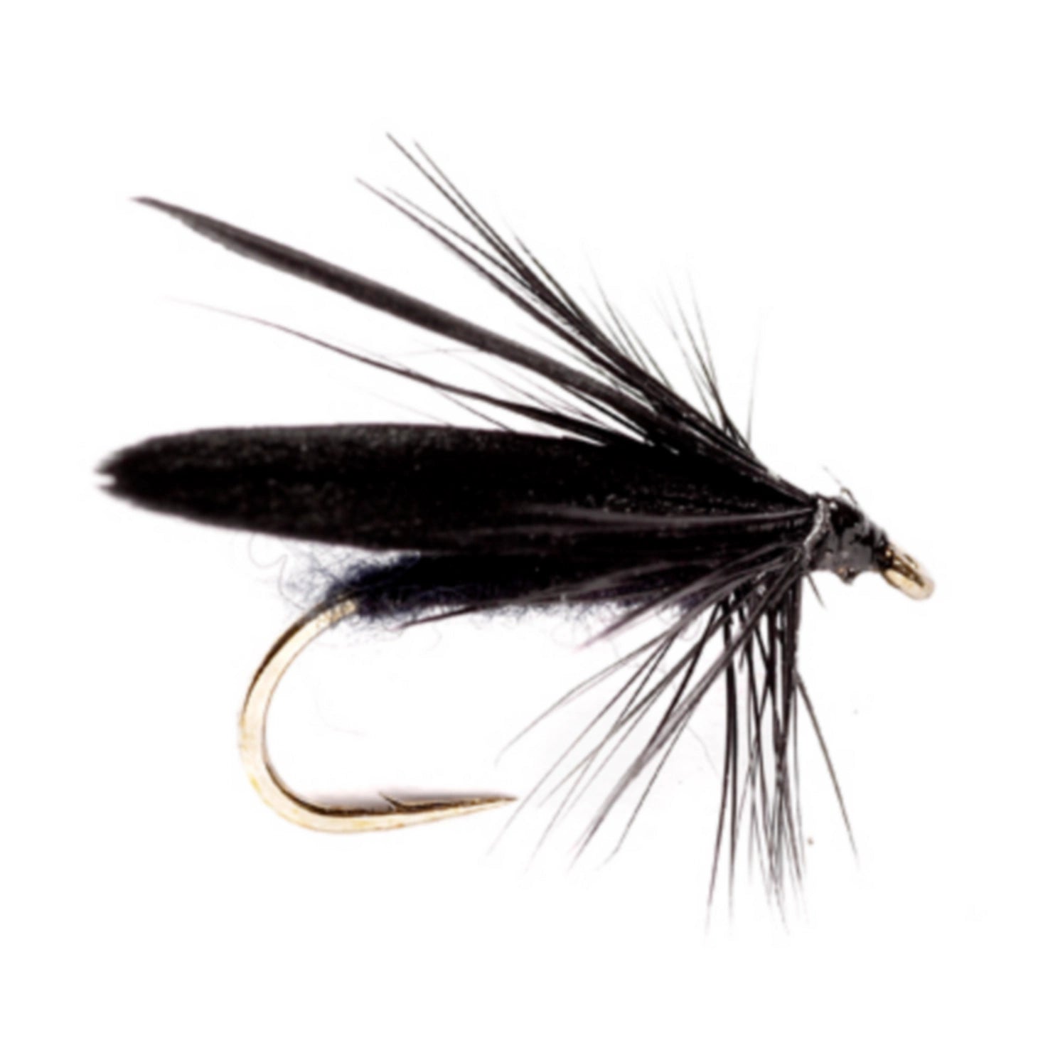 Slow Water Caddis