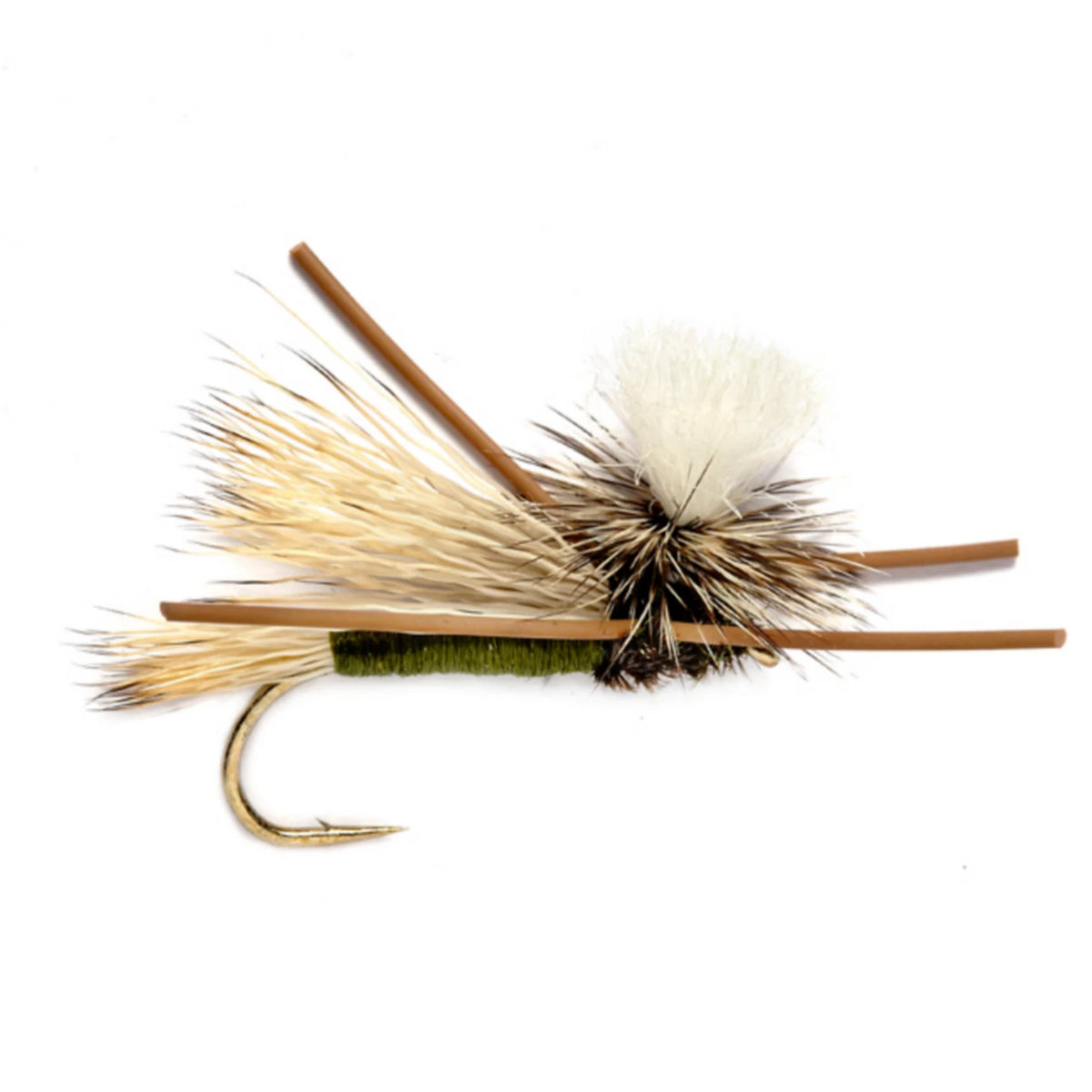 OLIVE,10