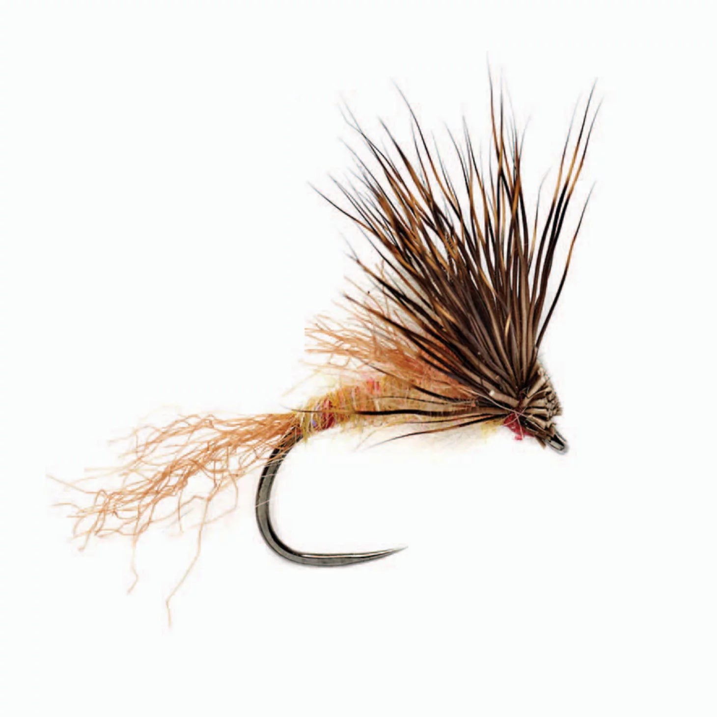 Rinker's CDC Wonder Bug