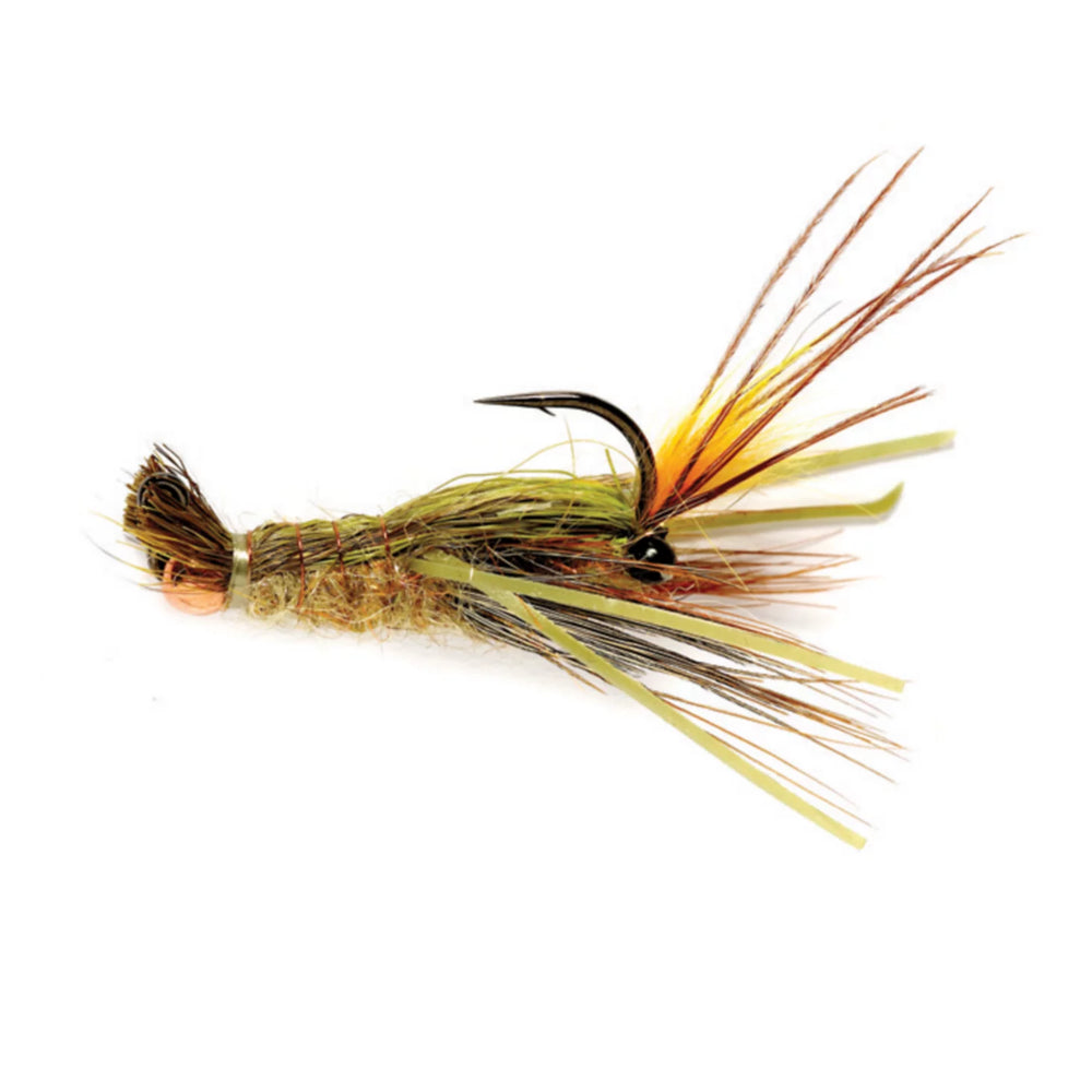 May's Clearwater Crayfish