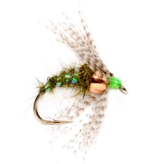 OLIVE,8