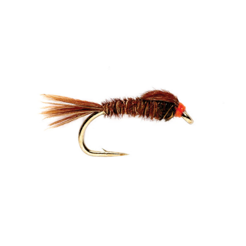 English Pheasant Tail
