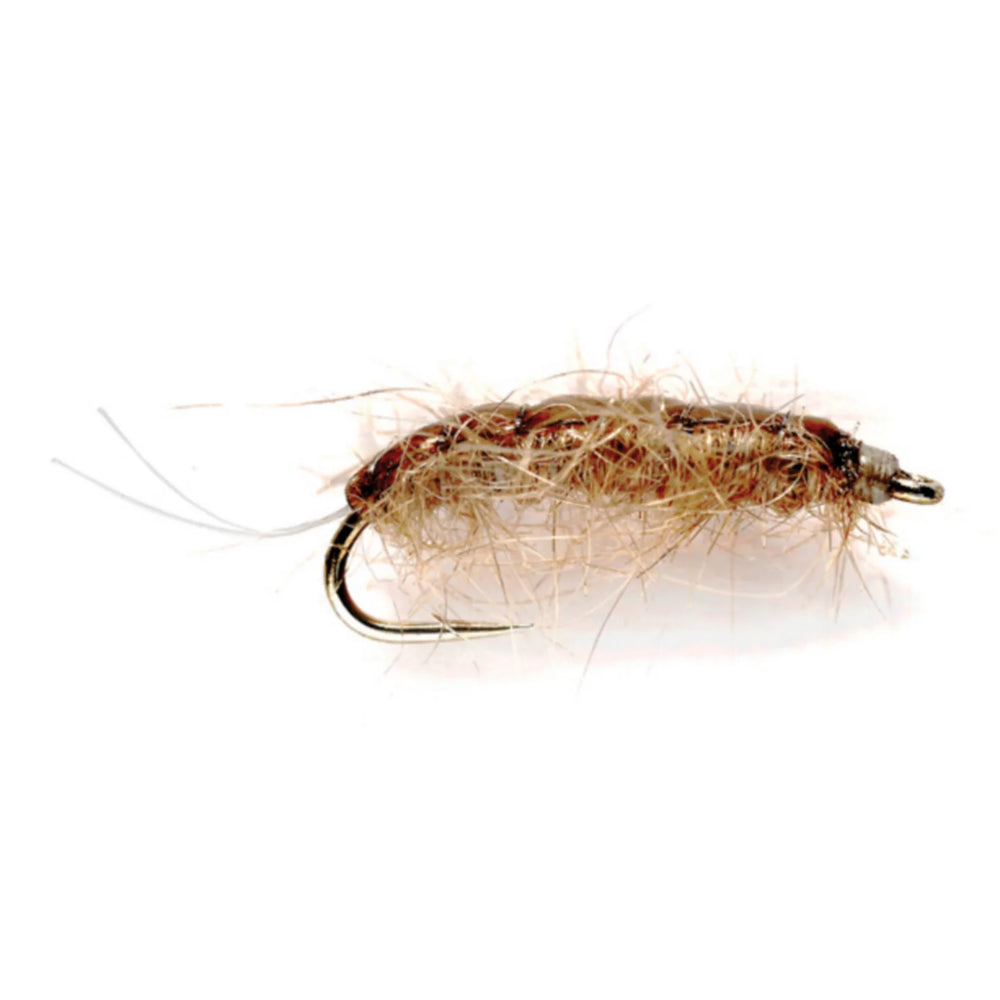 Rouse's J-Dub Sow Bug