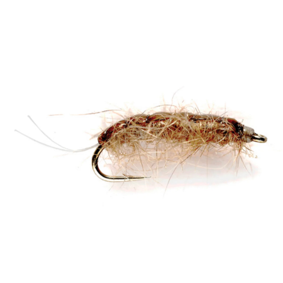 Rouse's J-Dub Sow Bug