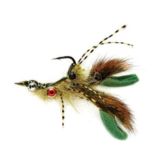 OLIVE,4