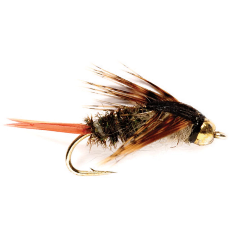TH 20 Incher