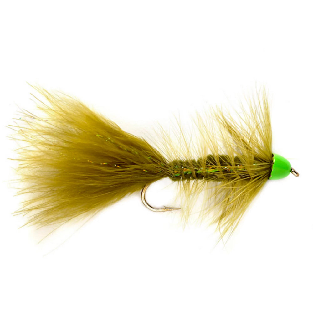 OLIVE/MULTI,4