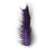 BLACK/PURPLE