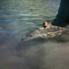 Belize Saltwater Fly Fishing School