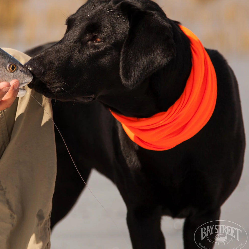 Lowcountry Saltwater Fishing School, SC