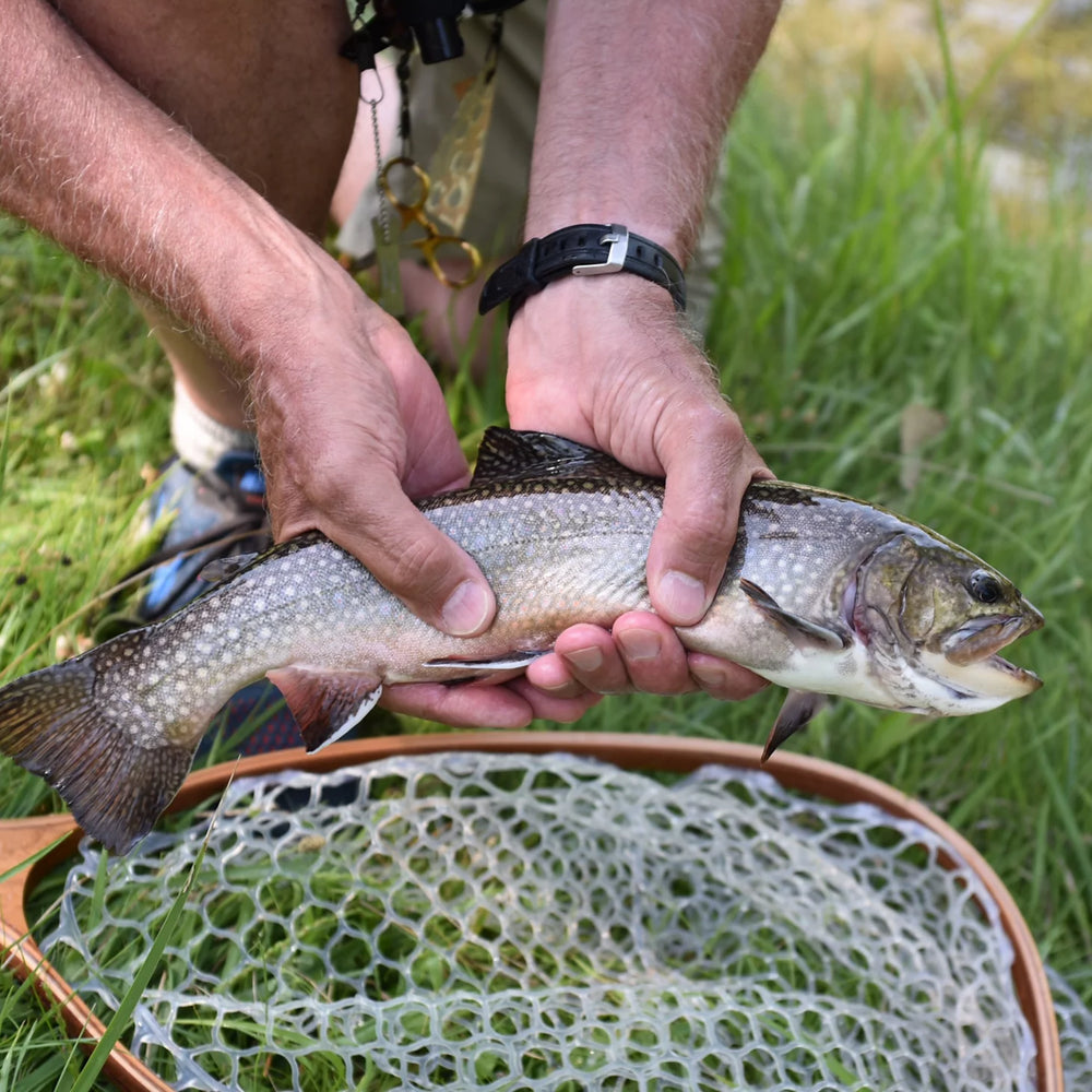 Clyde, Ohio Fly Fishing School