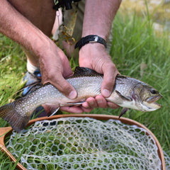 Clyde, Ohio Fly Fishing School