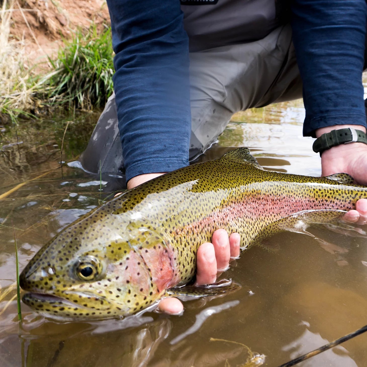 Trout School At Falcon's Ledge, Utah