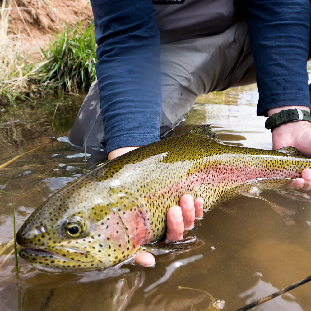 Trout School At Falcon's Ledge, Utah