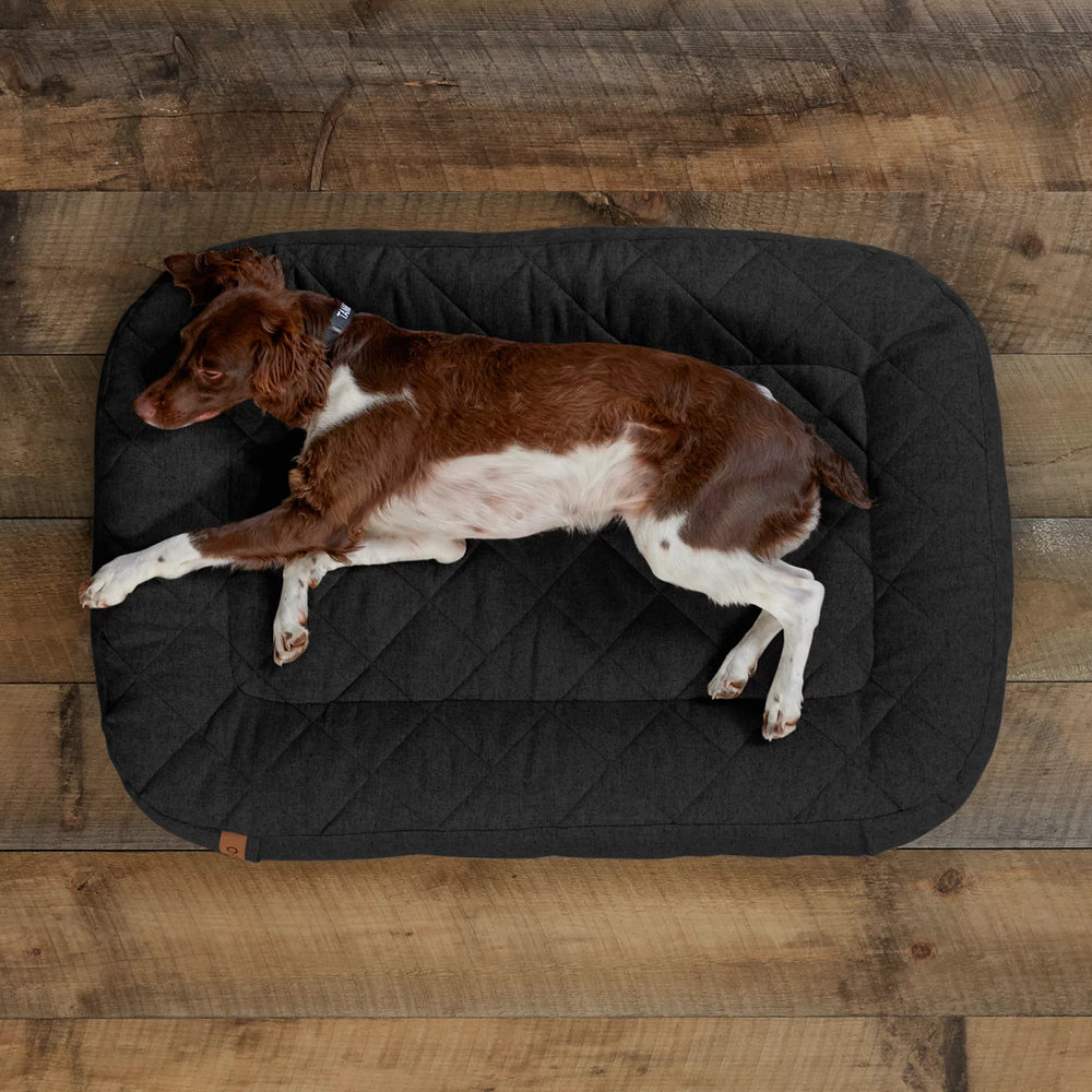 Memory Foam Lounger Dog Bed