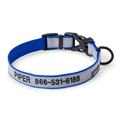 Orvis Reflective Collar & Leash Bundle