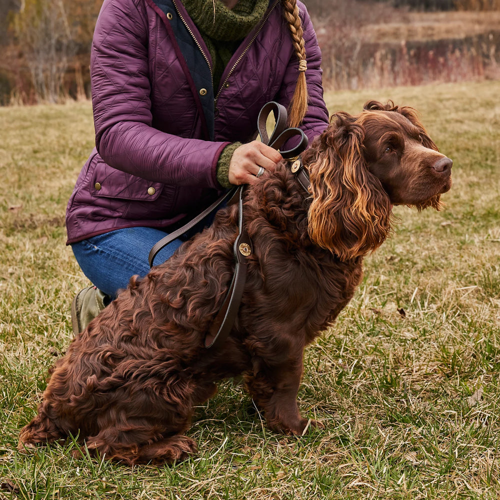 Shotshell Dog Collar