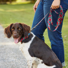 Orvis x Fishe® Wear Collar