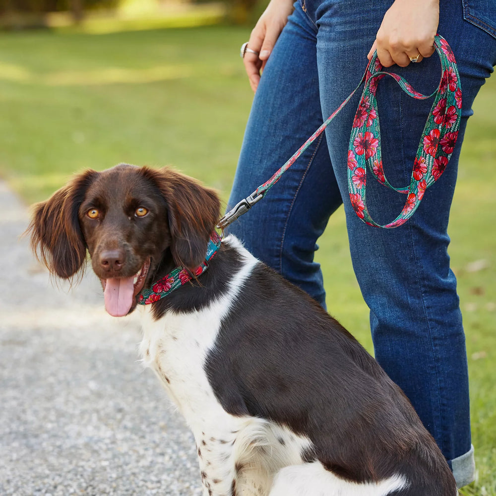 Orvis x Fishe® Wear Dog Leash