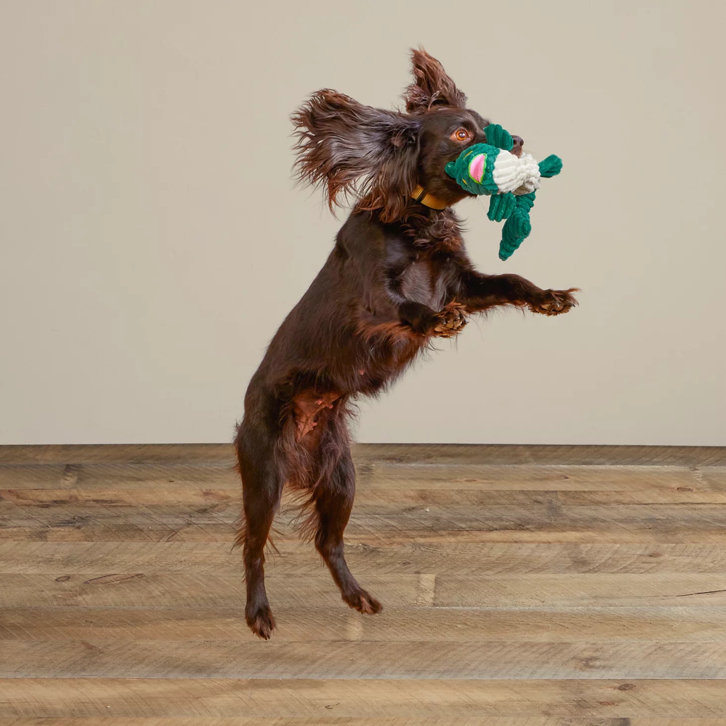 Animal Squeaky Toys