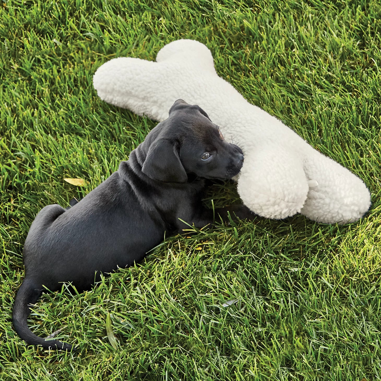 Fleece Dog Bone