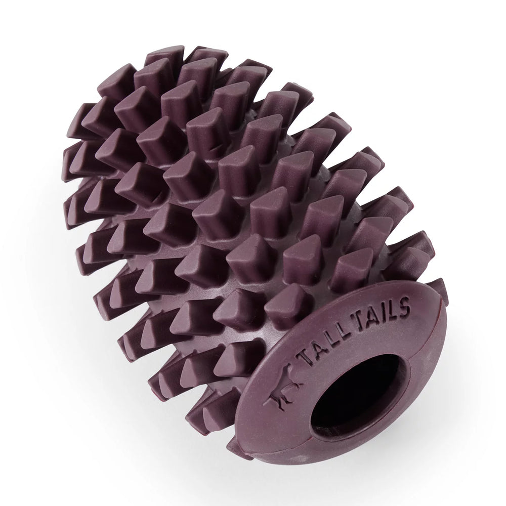 Pinecone Reward Dog Toy