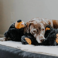 Black Bear Rope Dog Toy