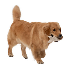 Rope Crunch Fish Dog Toy