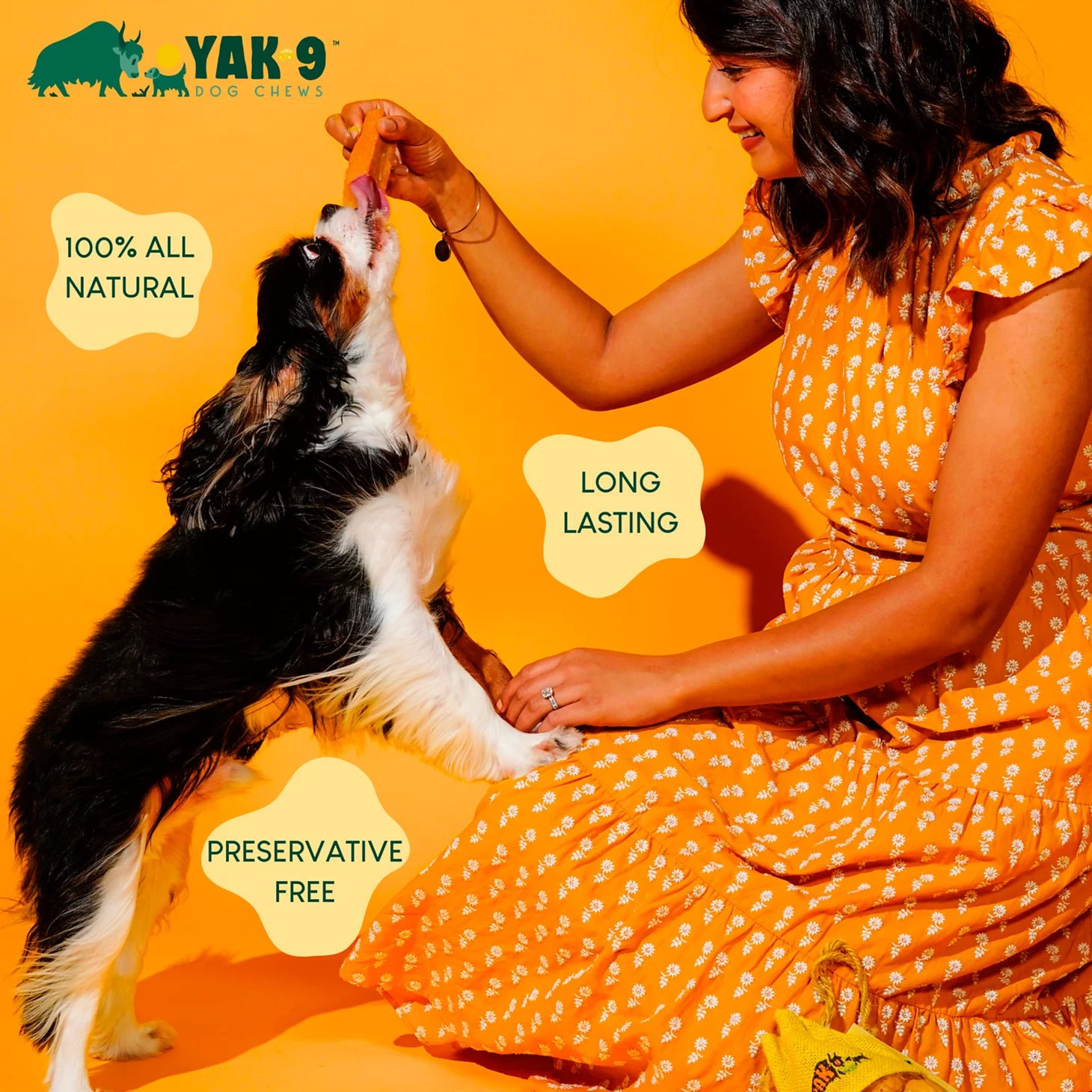 Yak-9 Dog Chew - Single